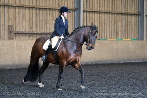 Novice 20